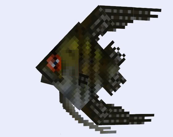 Posted Image