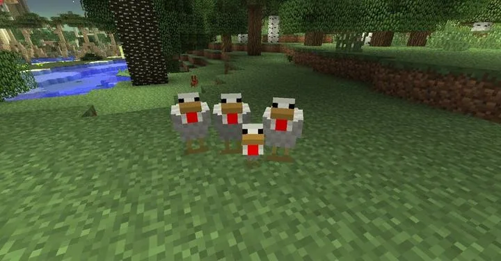 Minecraft Chicken