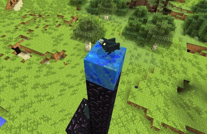 Twilight Forest Raven
