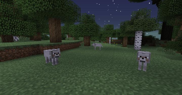 Twilight Forest Wolf