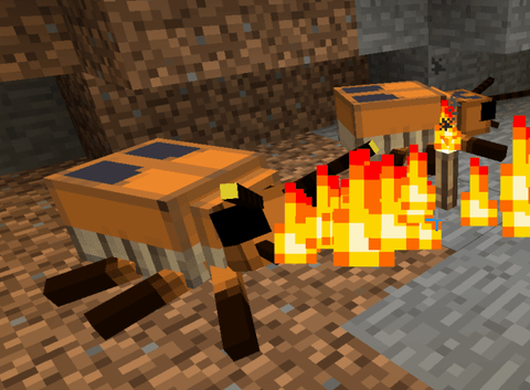 fire_beetle