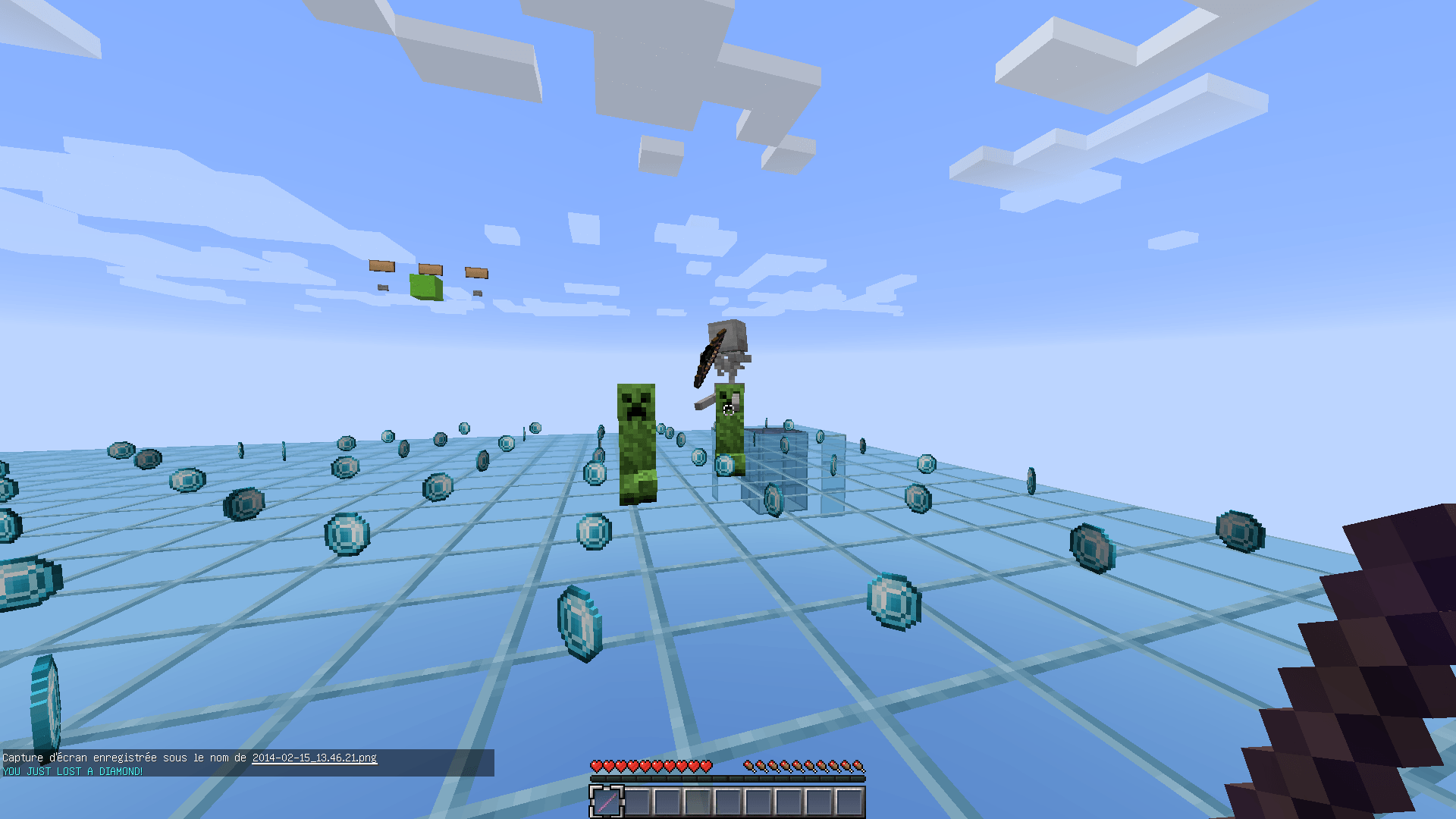 Un skeleton sur un creeper