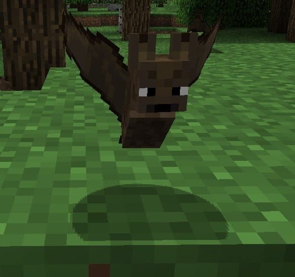 bat