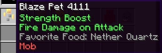 Blaze Pet1