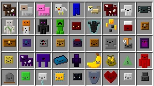 Pet Full