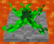 plant