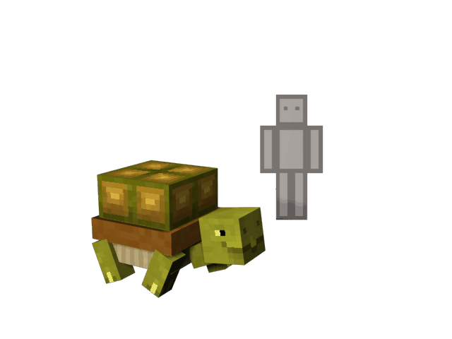 Tortue