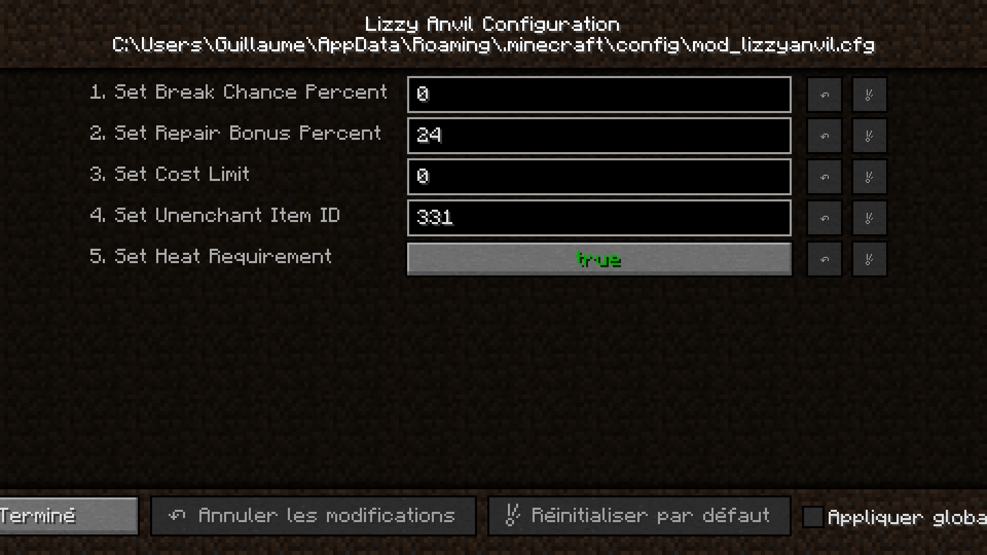 Option du mod The Lizzy Anvil
