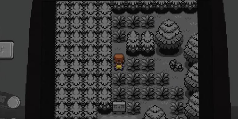 Pokemon GBA - 3