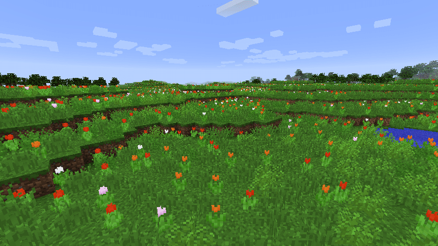 Biome O' Plenty - Une grande prairie