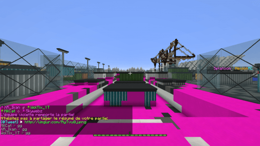HexionMc