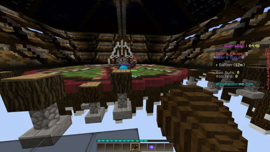 Hexion