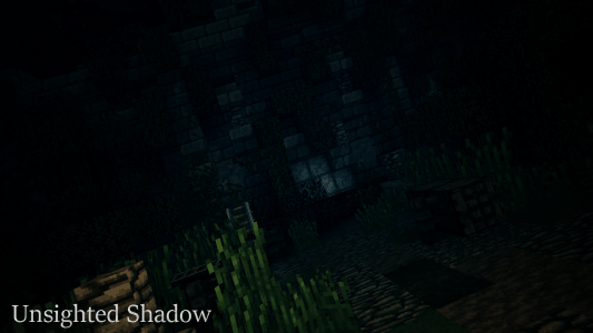 Unsighted Shadow