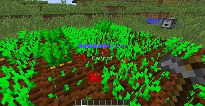 Datapack : Exemple d'utilisation de l'Automatic Factory Farm