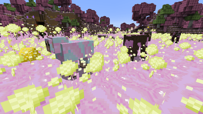 candycraft