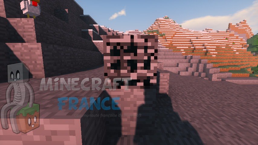 Carbonado Ore