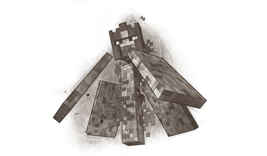 Minecon Mob D
