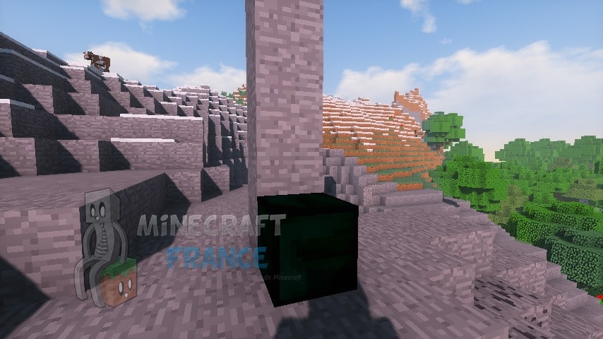 Bloc de Carbonado