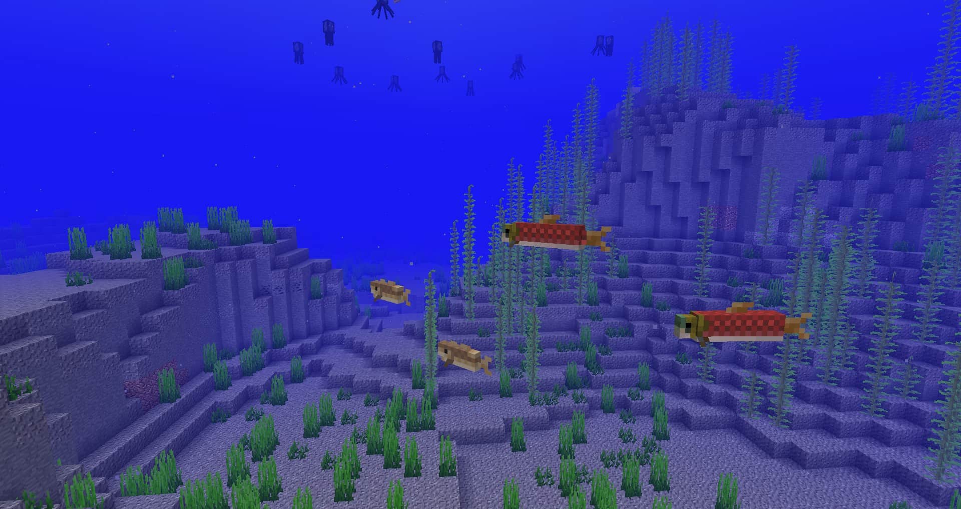 18w08b