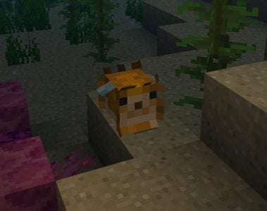 1.13