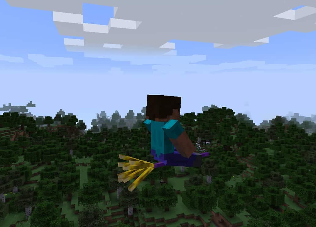 The Flying Things : Une autre vue d'un joueur sur son balai volant