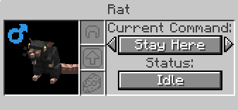 Interface du rat