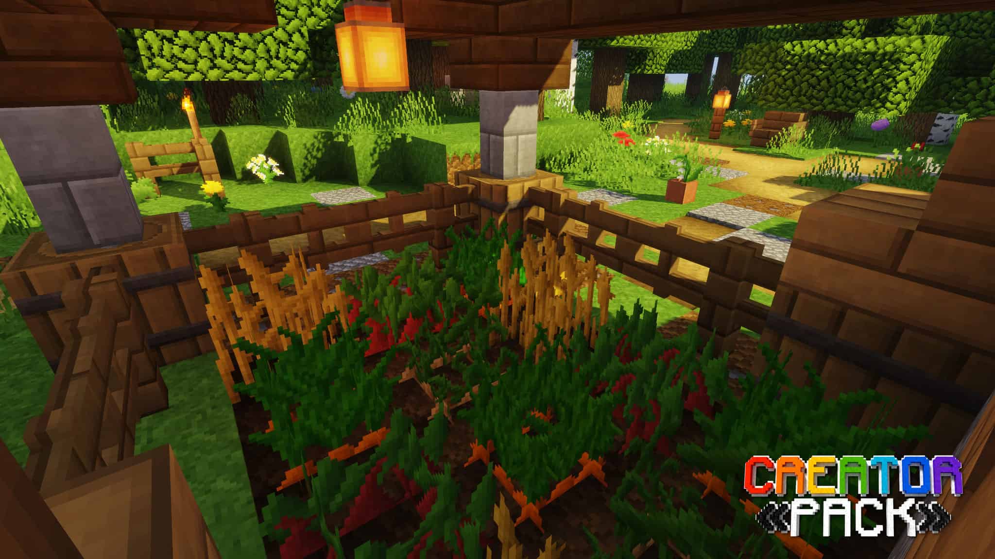 Creator pack - Un champs de carottes
