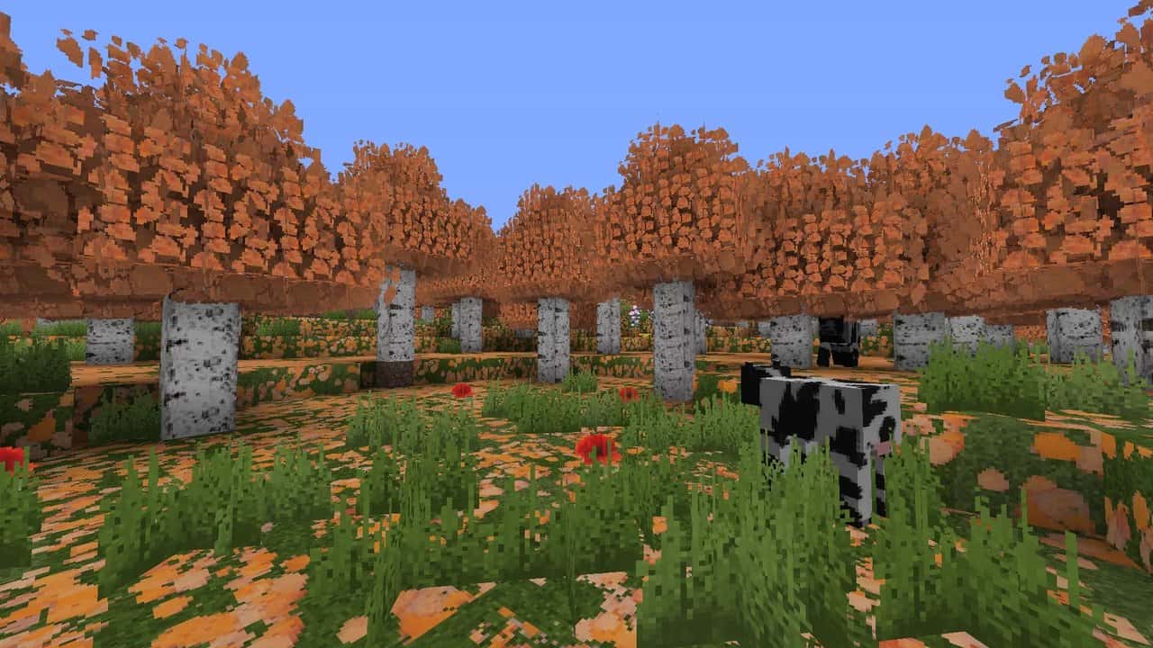 ItaliaPack : Une vache dans la forêt