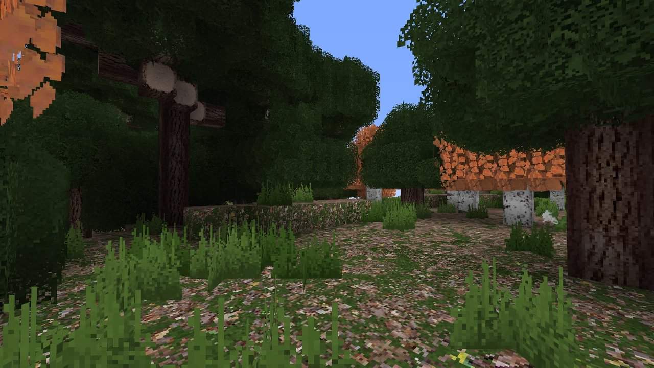 ItaliaPack - Un chemin qui traverse la forêt