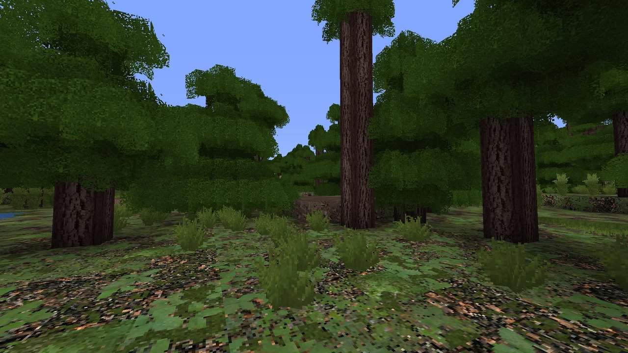ItaliaPack : Un grand arbre