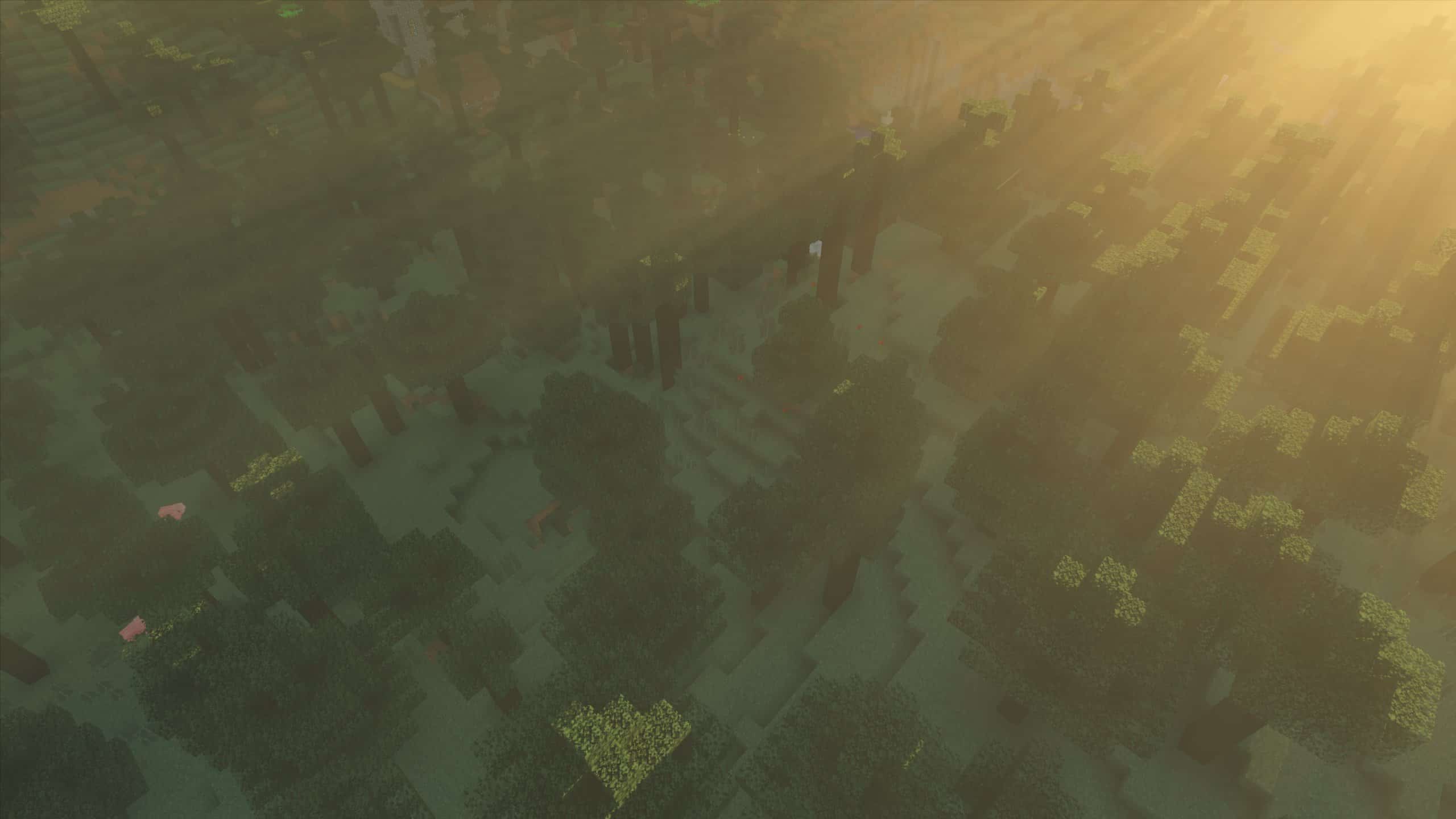  Kappa Shader : Des rayons de soleil dans une forêt