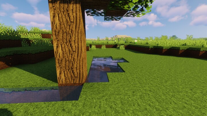 Les textures détaillées d'un arbre