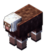 Le mouton à poil ras