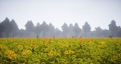 prairie