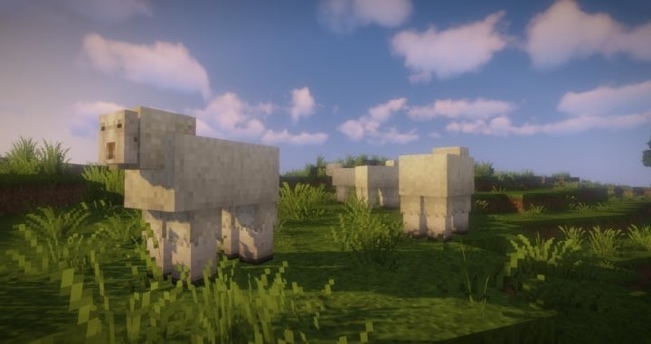 Epic Adventures moutons