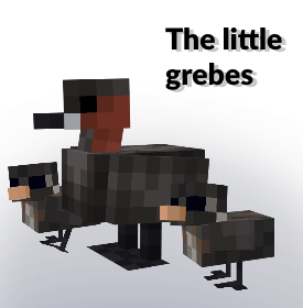 Petit grèbe du mod Creatures & Beasts