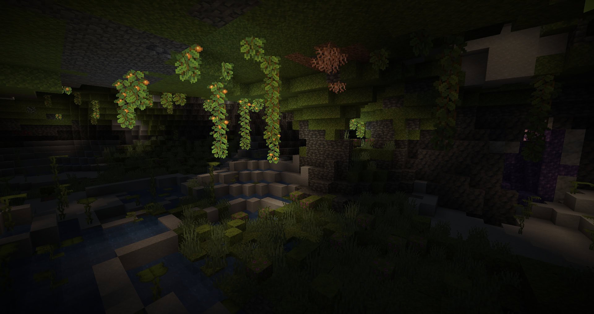 Une caverne luxuriante 21w10