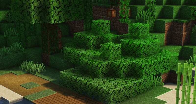 Bevel Pack 6