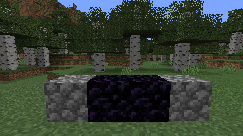 bas portail nether