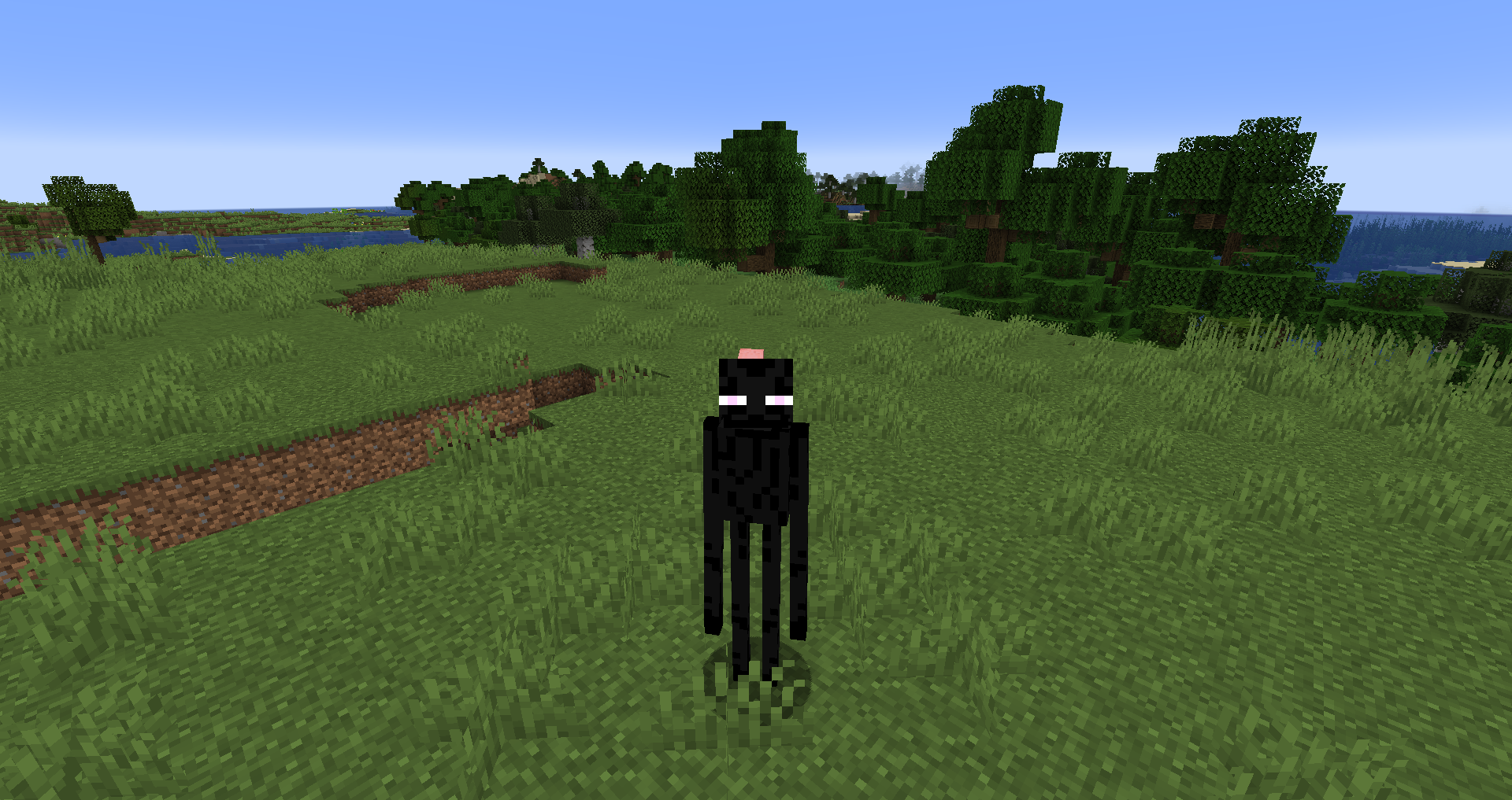 identity enderman