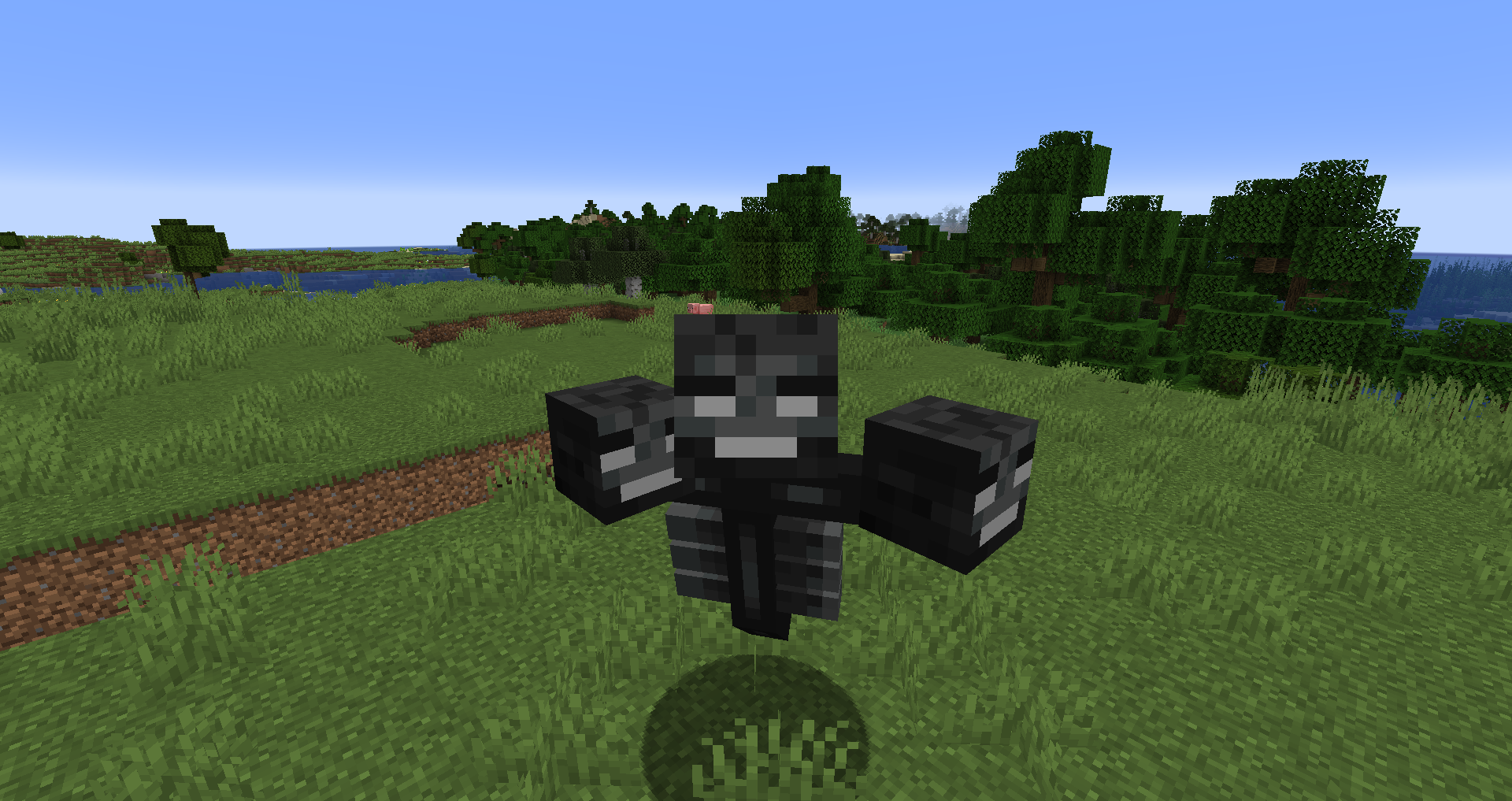 identity wither