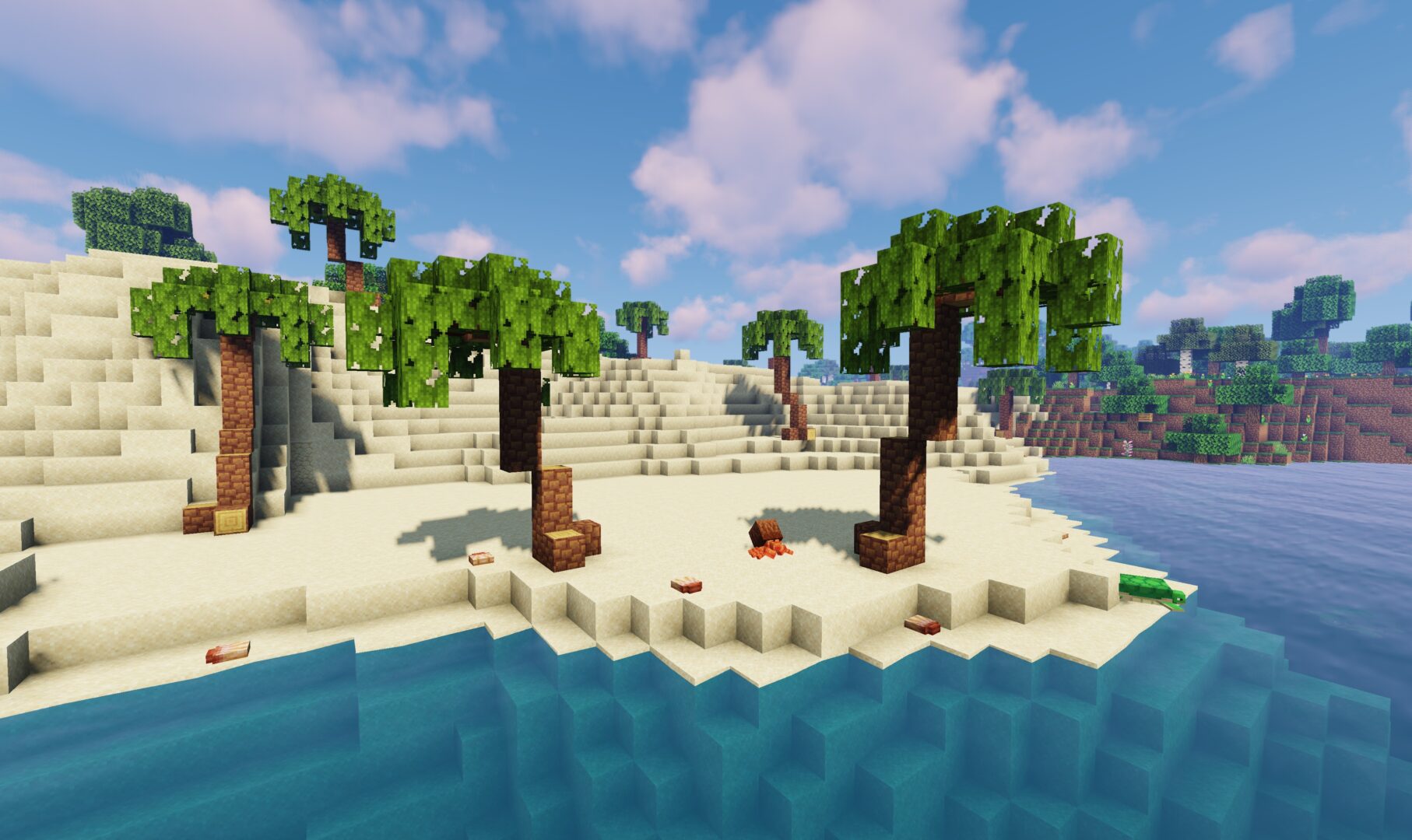 biome plage