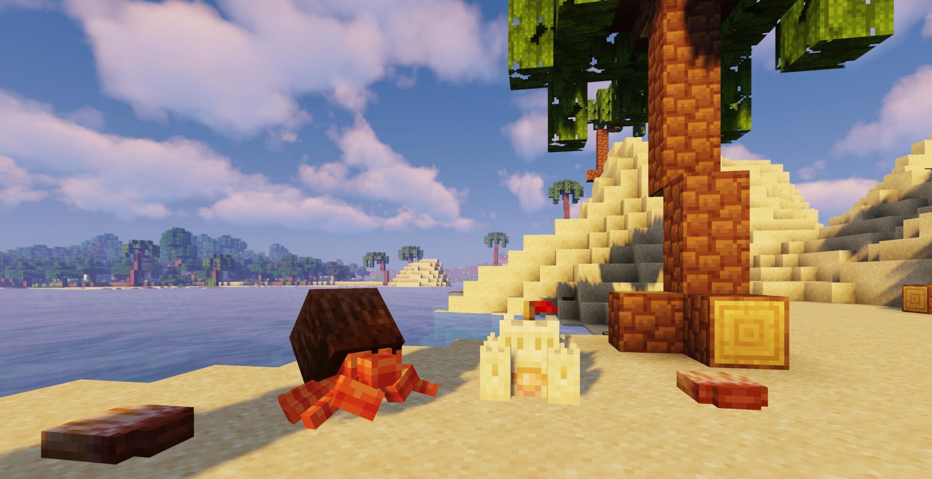 contenu mise a jour plage