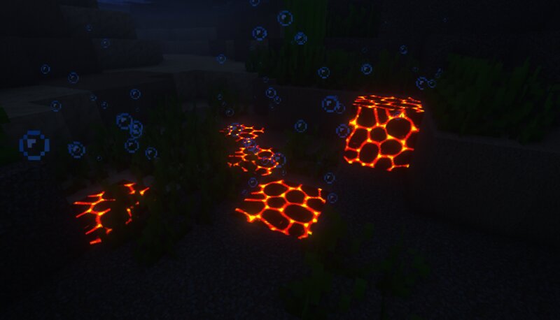 Willow 64x 2
