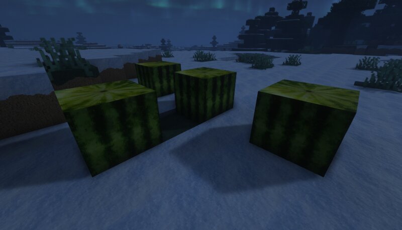Willow 64x 3