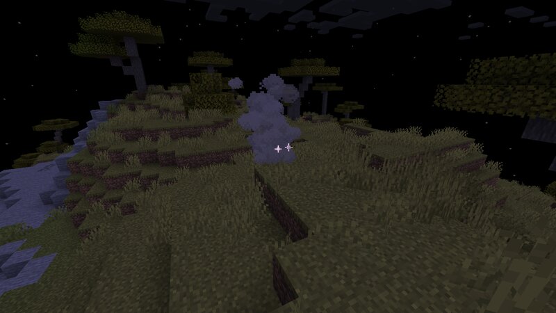 bete brouillard insomnie