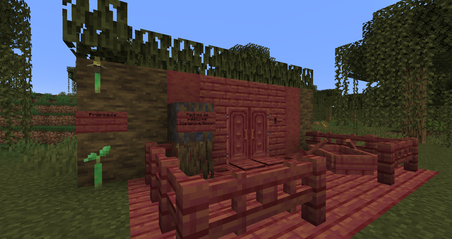 palétuvier mangrove 22w11