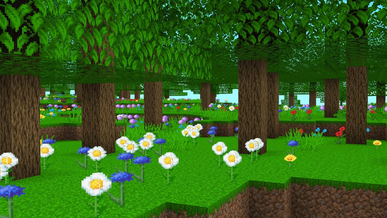 foret paradis