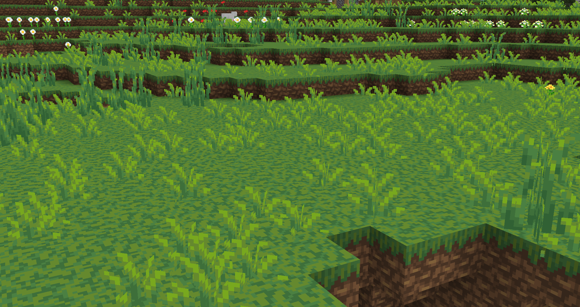 herbe glisten