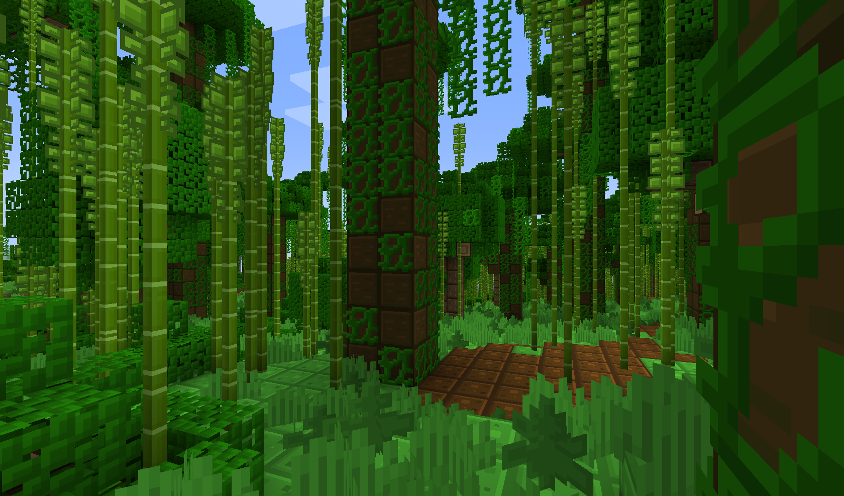 jungle